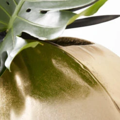 Greer Vase -VibeDecor Store 120209073 4 54063.1690281649.386.513