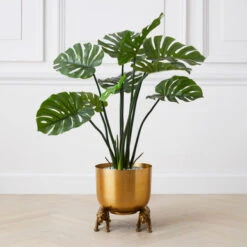 Nikki Chu - Jaguar Planter -VibeDecor Store 122424803 71996.1690292789.386.513