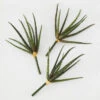 Faux Snake Grass Pick - Set Of 3 -VibeDecor Store 209204912 1 88389.1690278983.386.513 2