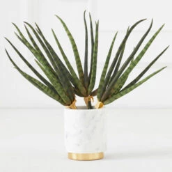 Faux Snake Grass Pick - Set Of 3 -VibeDecor Store 209204912 67761.1690278982.386.513 1