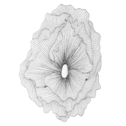 Large Poppy Flower Wall Decor - Silver/Black -VibeDecor Store webimage 162120419 1 jpg 1