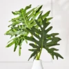 Philo Leaf -VibeDecor Store webimage 162142192 1