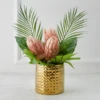 Protea In Pot - Blush -VibeDecor Store webimage 168115695 jpg 1