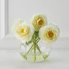 Ranunculus In Glass - White -VibeDecor Store webimage 168126063 jpg 1