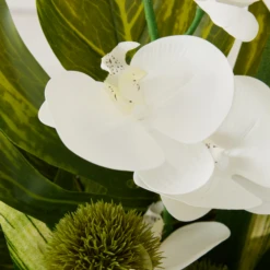 Phalaenopsis Leaf In Glass -VibeDecor Store webimage 168192665 dtl2 1