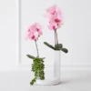 Nikki Chu - Pink Orchid In White Vase -VibeDecor Store webimage 168247451