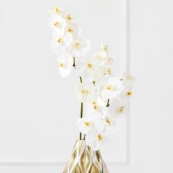 White Orchid Stem - Set Of 3