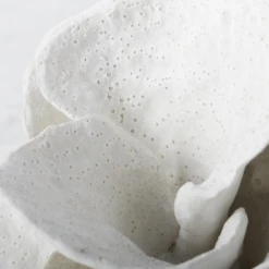 Coral Bookends -VibeDecor Store webimage 186978354 2 jpg 1