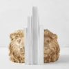 Lion Head Bookends -VibeDecor Store webimage 186978356 jpg