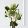 Protea Queen Spray - Set Of 3 -VibeDecor Store webimage 200023713 jpg