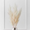 Pampas Grass - Set Of 3 -VibeDecor Store webimage 200204424 jpg