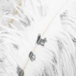 Ostrich Spray - Set Of 3 -VibeDecor Store webimage 205481275 1 jpg