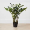 Zamioculas Tree -VibeDecor Store webimage 206448861 jpg
