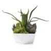 Faux Aloe And Succulent Geo Pot -VibeDecor Store webimage 207157001 jpg