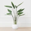 Faux Potted Water Canna -VibeDecor Store webimage 207190249