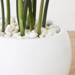 Faux Potted Water Canna -VibeDecor Store webimage 207190249 dtl1