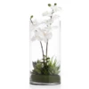 Faux Potted Orchid With Succulents -VibeDecor Store webimage 207818656 jpg 1