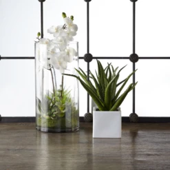 Faux Potted Orchid With Succulents -VibeDecor Store webimage 207818656 rv1 jpg 1