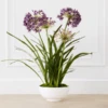 Faux Potted Agapanthus -VibeDecor Store webimage 207919623