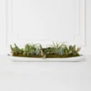 Succulent Assortment In Wood Tray -VibeDecor Store webimage 207999710