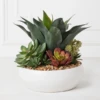 Succulent Assortment In Bowl -VibeDecor Store webimage 207999711 1