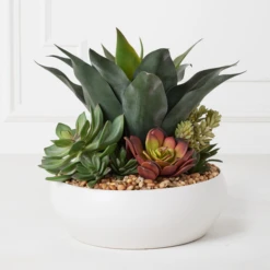 Succulent Assortment In Bowl