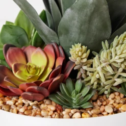 Succulent Assortment In Bowl -VibeDecor Store webimage 207999711 dtl