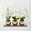 Orchid Trio With Granite Slab -VibeDecor Store webimage 207999715