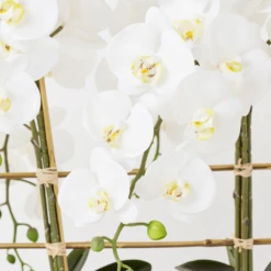 Orchid Trio With Granite Slab -VibeDecor Store webimage 207999715 dtl2 1