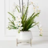 Orchids In Bowl With Stand -VibeDecor Store webimage 207999716 1