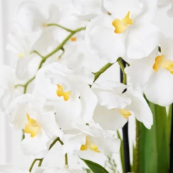 Orchids In Bowl With Stand -VibeDecor Store webimage 207999716 dtl 1