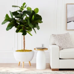 Fiddle Leaf Tree In Bowl -VibeDecor Store webimage 207999719 alt6 DSI FIDDLE LEAF IN WHITE POT rv