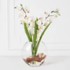 Cymbidium In Glass Vase -VibeDecor Store webimage 207999720