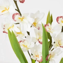 Cymbidium In Glass Vase -VibeDecor Store webimage 207999720 dtl1