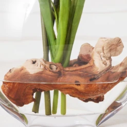 Cymbidium In Glass Vase -VibeDecor Store webimage 207999720 dtl2 1