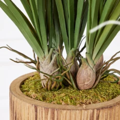 Areca In Wood Stand -VibeDecor Store webimage 207999721 dtl1 1