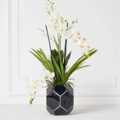 Orchids In Glass Bowl -VibeDecor Store webimage 207999723 1