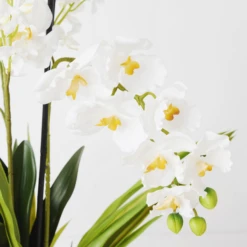 Orchids In Glass Bowl -VibeDecor Store webimage 207999723 dtl1 1