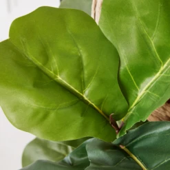 Fiddle Leaf Branches In Bowl -VibeDecor Store webimage 207999724 dtl2 1