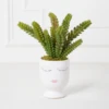 Selfie Succulents In Face Planter -VibeDecor Store webimage 207999751 1
