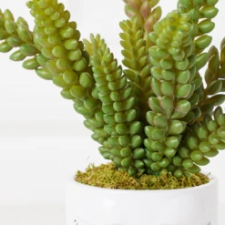 Selfie Succulents In Face Planter -VibeDecor Store webimage 207999751 dtl1 1