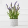 Lavender In Grey Pot -VibeDecor Store webimage 207999958