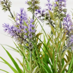 Lavender In Grey Pot -VibeDecor Store webimage 207999958 dtl2 1