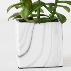 Tree Succulents In Marble Pot -VibeDecor Store webimage 207999966 dtl