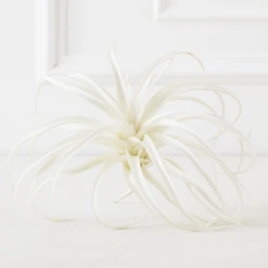Faux Air Plant -VibeDecor Store webimage 209172845 ALT