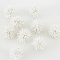 Front Page -VibeDecor Store webimage 209198427 alt1