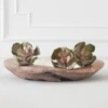 Faux Echeveria Succulent Pick -VibeDecor Store webimage 209200688 2