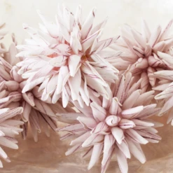 Faux Allium Sphere - Set Of 9 -VibeDecor Store webimage 209202507 dtl 1