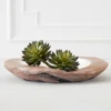 Faux Thorn Succulent Pick -VibeDecor Store webimage 209207824 1