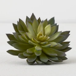 Faux Thorn Succulent Pick -VibeDecor Store webimage 209207824 alt1